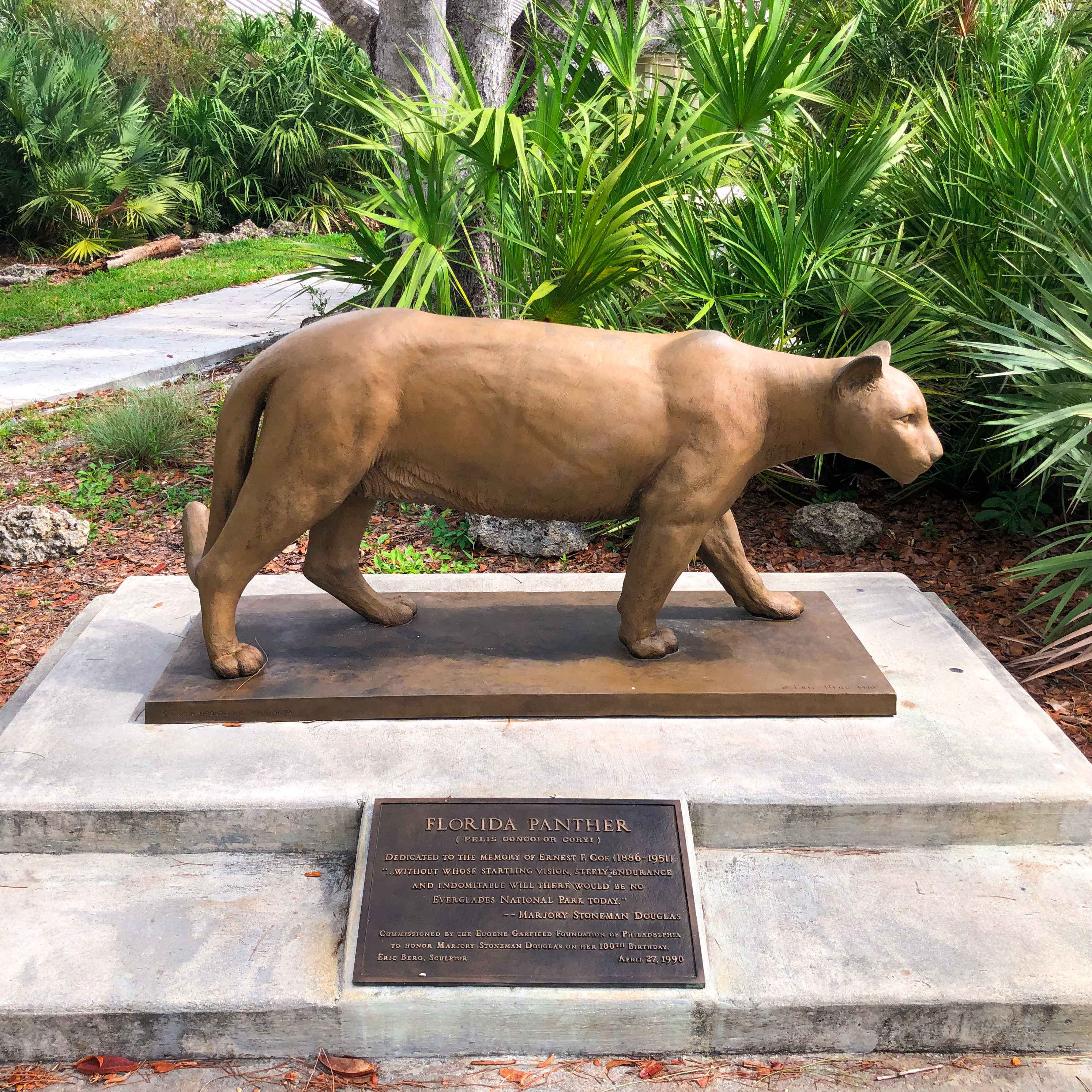 Adaptive Variation Following Genetic Rescue in Florida Panthers